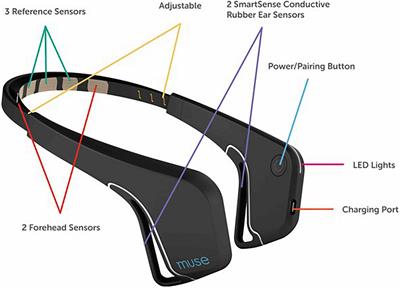 Frontiers | Using Muse: Rapid Mobile Assessment of Brain Performance